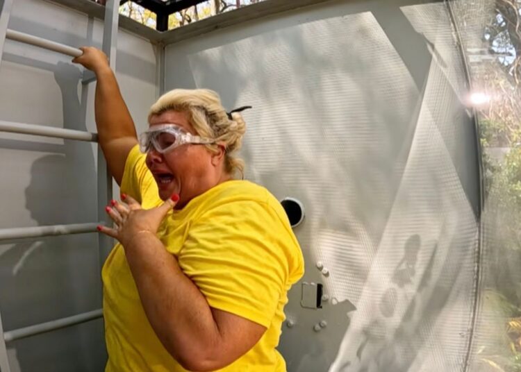 Sou a declaração poderosa de Gemma Collins de uma celebridade quando ela entra no acampamento pela segunda vez
