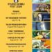 Studio Ghibli Fest Slate anunciado para 2026 – GKIDS e Fathom Entertainment continuam comemorando o catálogo do Studio Ghibli nos cinemas dos EUA em todo o país a partir de junho deste ano