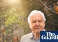 TV hoje à noite: a nova série brilhante de David Attenborough antes de completar 100 anos | Televisão e rádio