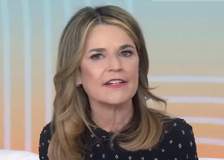 'Tantos pedaços desta história não batem certo.' O que a NBC supostamente pensava que aconteceria com o retorno de hoje de Savannah Guthrie (e o que aconteceu em vez disso)