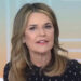 'Tantos pedaços desta história não batem certo.' O que a NBC supostamente pensava que aconteceria com o retorno de hoje de Savannah Guthrie (e o que aconteceu em vez disso)