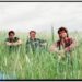 The Moss entrega nove músicas de pura liberdade no novo álbum ‘Big Blue Moon’