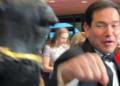 Triumph The Insult Comic Dog atrai Marco Rubio para um soco brincalhão