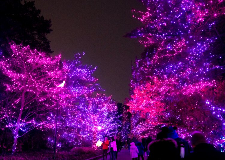 12 dos festivais mais incomuns de Ohio para conferir em 2026