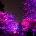 12 dos festivais mais incomuns de Ohio para conferir em 2026
