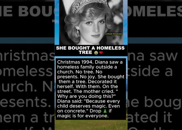 SHE BOUGHT A HOMELESS TREE 😭💔