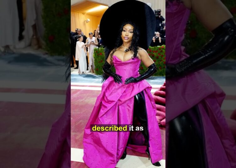 Why These Celebrities Skip the Met Gala!