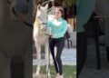 When a Sheikh’s Baby Girl Is Born in Dubai 😱 #dubaiprincess #shortsvideo #rich #dubai