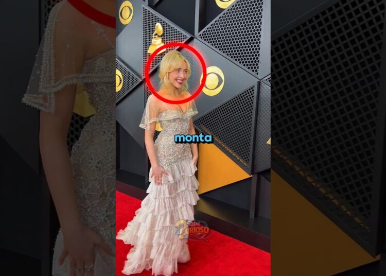 Você não percebeu esse detalhe nos looks! #curiosidades #sabrinacarpenter #noticias #brazil