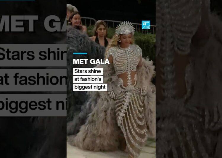 Stars shine at eccentric Met Gala, fashion’s biggest night • FRANCE 24 English