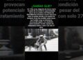 ¿Sabías esto? La extraña muerte del rey Alejandro #historia #datos #realeza
