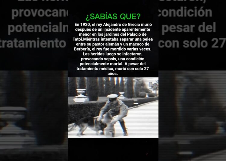 ¿Sabías esto? La extraña muerte del rey Alejandro #historia #datos #realeza