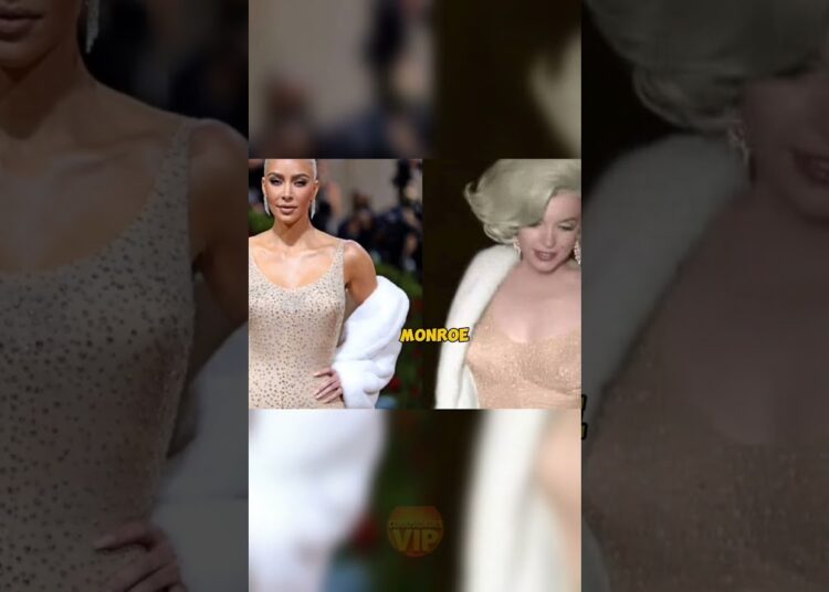 Porque as celebridades usam vestidos caros no tapete vermelho #curiosidades #celebrity #brasil