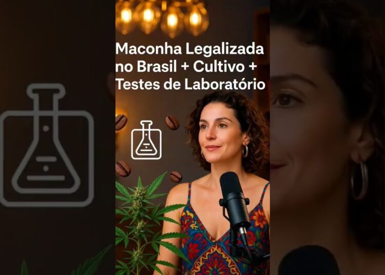 Interessante isso. #podcast3irmaos #cortes #fofoca #maconhamedicinal @podcast3irmaos