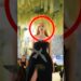 Met Gala virou piada! #curiosidades #cardib #noticias #brazil