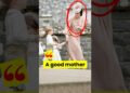 Nice..!!! #princesscatherine #royal #princelouis #princewilliam #princegeorge