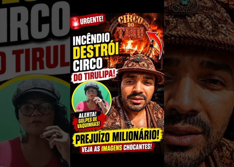 🚨 TIRULIPA EM CHOQUE! 🔥😱