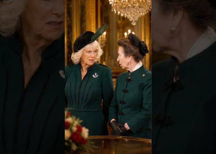 The Moment Camilla Realized Princess Anne Doesn’t Play… 👁️🚫#camilla #anne #royal #foryou #shorts
