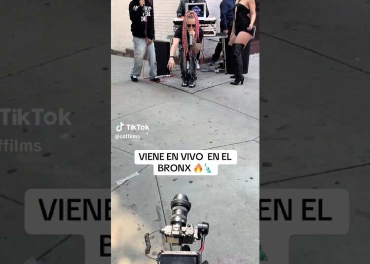 Realeza Family – En Vivo 🔴 @Cdffilmss @cdfmusicc AElla Le Gusta #legusta #realezafamily #bronx