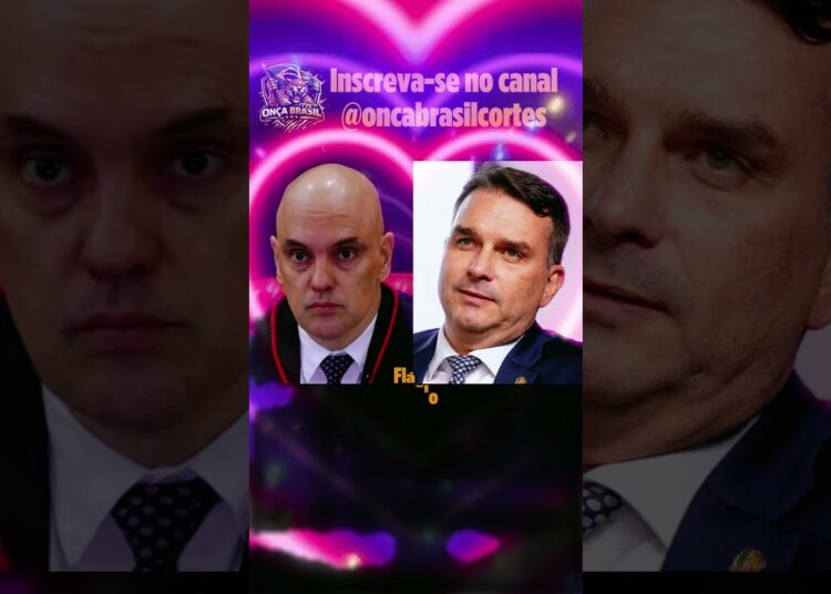3 FOFOCAS BOLSONARISTAS em 1 minuto 002 #partidomissao #renansantos #mbl #direita