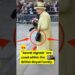 Royal Secret Code #royal #queenelizabeth #princesscatherine