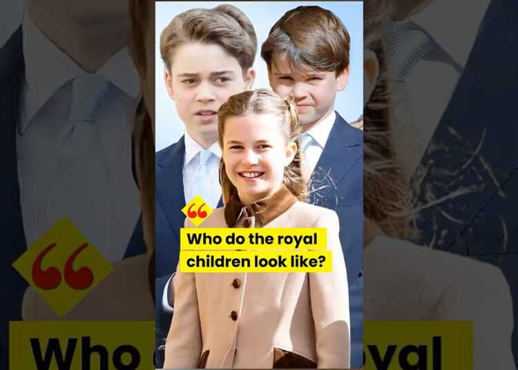 Who is that? #royal #princegeorge #princelouis #charlotte #diana