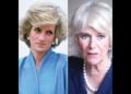 🩵💙Princess Diana and Queen Camilla||Beautiful British Royal ladies