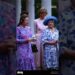 princess diana and Royal family #royal #history #britishroyalty