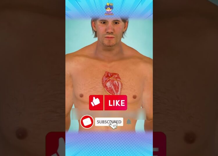 Por que os guardas reais usam esse chapéu
