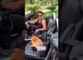 ZEZÉ E SERENATA PARA CACHORRINHA #noticias #famosos #celebridades #shorts