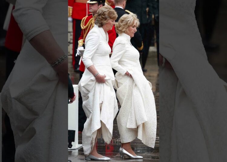 A verdade sobre os rumores da realeza 👀👑#KingCharles #QueenCamilla #Shorts