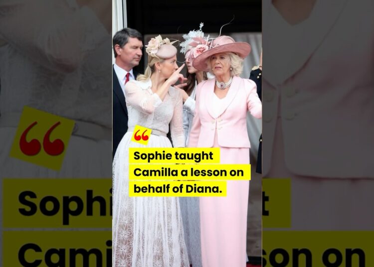Sophie taught Camilla a lesson. #royal #diana #camilla #sophie