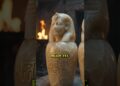 The Terrifying Ancient Egyptian Ritual for Royalty