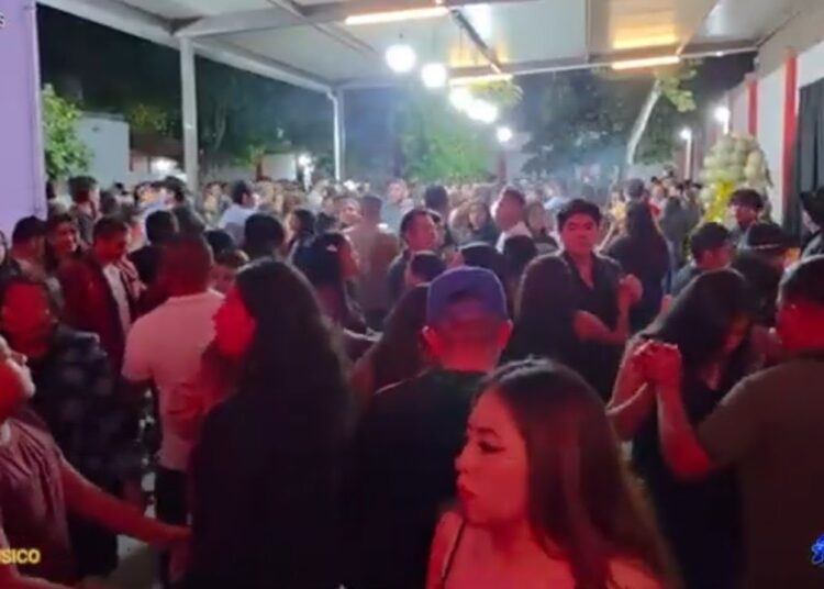 GRUPO REALEZA DEL AMOR  en vivo  día del músico 2025