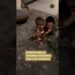Zé Felipe publica momento divertido com José Leonardo