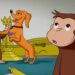 ¿¡Hundley es de la realeza!? | Episodios Completos 🐵 Jorge El Curioso | Dibujos Animados en Español