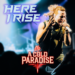 A COLD PARADISE lança videoclipe para o novo single “Here I Rise”!