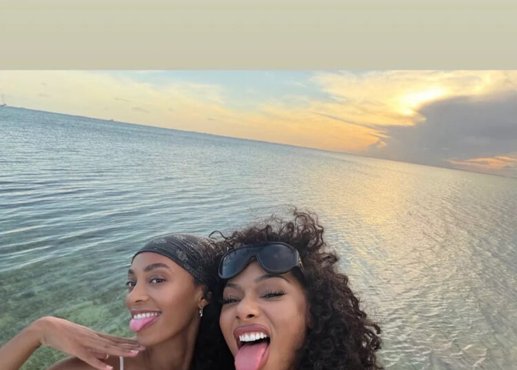 A Internet está perdendo o controle por causa desse garanhão de Megan Thee e da selfie de férias de Solange