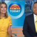 A apresentadora de TV Savannah Guthrie desaparece misteriosamente no meio do programa enquanto a busca pela mãe Nancy continua