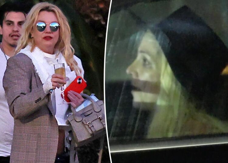 Britney Spears acusada de DUI depois de se internar em reabilitação