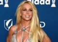 Britney Spears supostamente saiu da reabilitação, esperando um acordo judicial