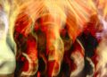 Converge lança novo videoclipe para 'Death in Bloom'