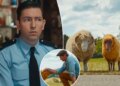 Crítica de 'The Sheep Detectives': um assassino está atacando o cordeiro em um lindo filme de mistério sobre animais