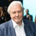 David Attenborough completa 100 anos hoje: a vida e a carreira do lendário apresentador de TV