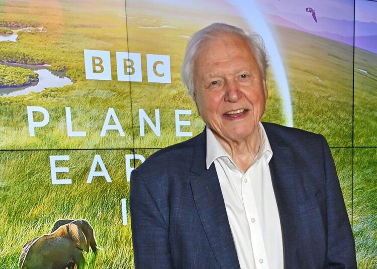 David Attenborough surpreende a conexão com a estrela de Hollywood ao compartilhar arrependimento – Celebrity News – Entretenimento