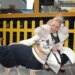 Enquanto todas as outras celebridades tentam ficar ricas com uma marca de tequila, Katherine Heigl já é silenciosamente uma super magnata da comida de cachorro