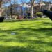 Esculturas grandes e assustadoras de corvos instaladas em Panhandle como parte do 'Big Art Loop'