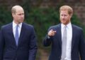 Família Real: Príncipe William 'não pressiona por um reencontro' com Harry – 'intolerável' | Real | Notícias