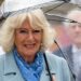 Fãs reais em crise depois que a Rainha Camilla quase sofreu um 'acidente' | Real | Notícias