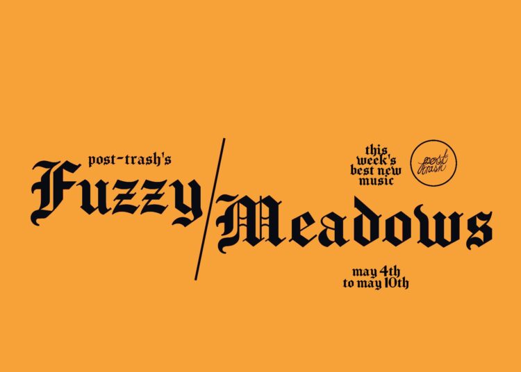 Fuzzy Meadows: as melhores músicas novas da semana (4 de maio